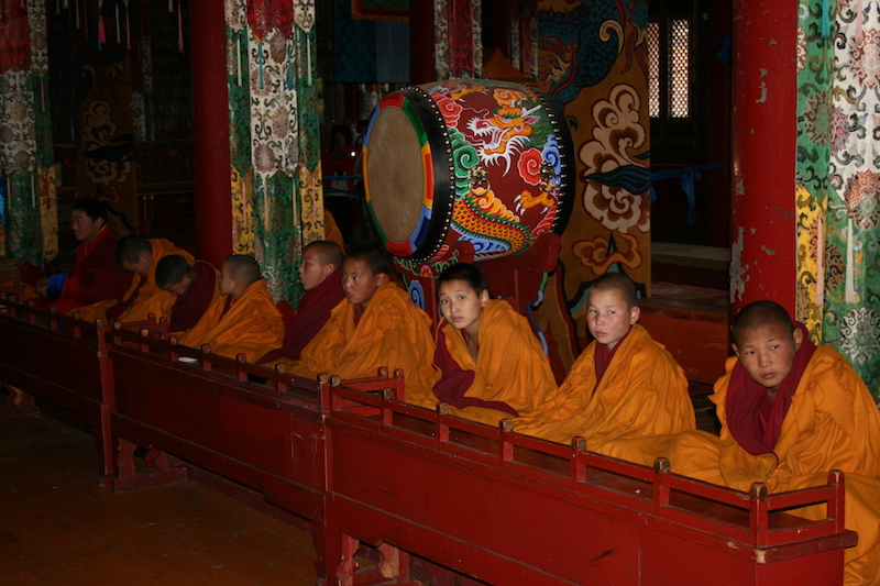 giovani monaci pregano nel monastero buddista di Amarbayasgalant in Mongolia settentrionale