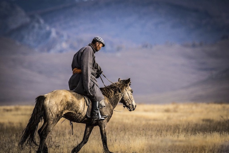 cavaliere nella steppa autunnale in Mongolia