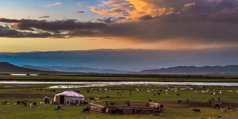 paesaggio bucolico al tramonto nella steppa in Mongolia con ger e animali al pascolo