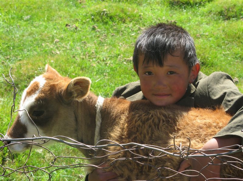 Bimbo nomade  della Mongolia posa per fotografia con il suo piccolo Yak nella steppa 