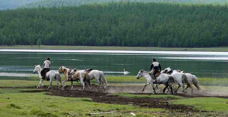 cavalieri nomadi della Mongolia radunano i cavalli sulle rive del lago Khovsgol