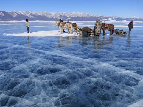 cavalli e slitte sul lago Khovsgol ghiacciato durante l'Ice Festival che si svolge ogni anno febbraio/marzo- Mongolia del Nord
