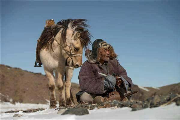 cacciatore e cavallo durante battuta invernale di caccia con aquila negli Altai in Mongolia