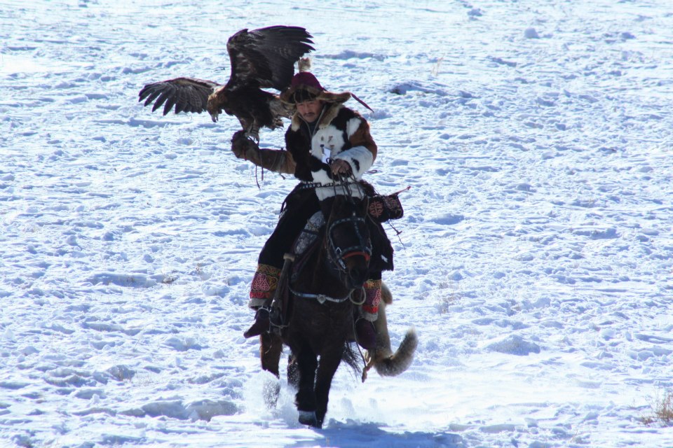 cacciatore kazako mentre caccia con aquila negli Altai in Mongolia