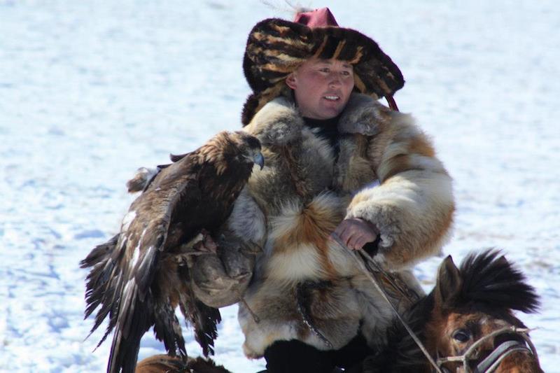cavaliere con aquila a caccia in inverno in Mongolia